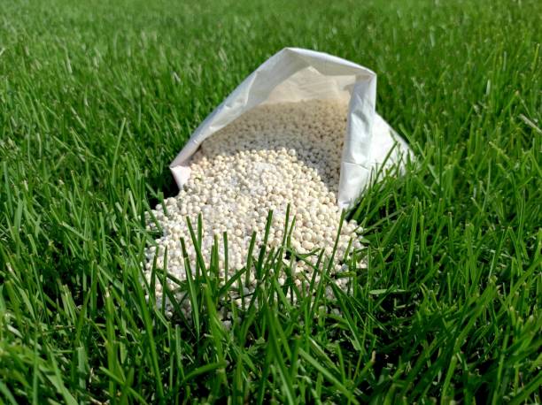 Fertilizers