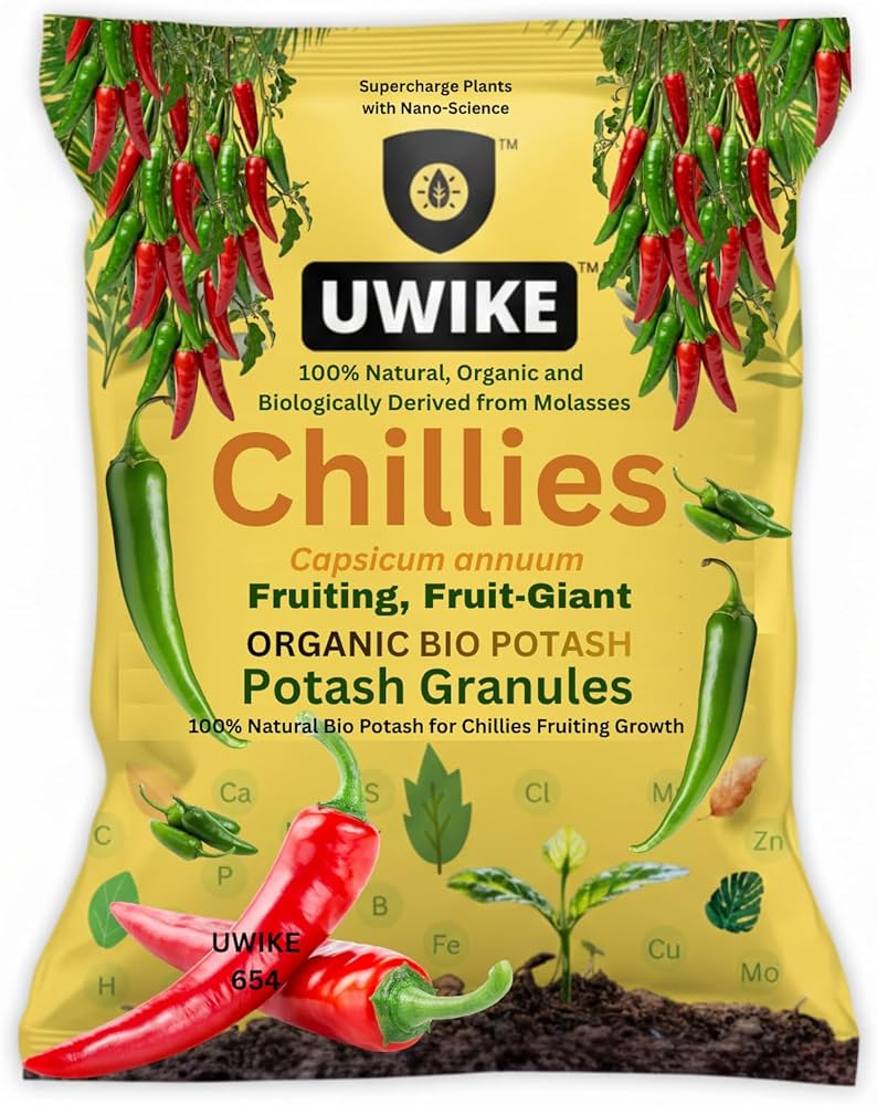 Chili 85